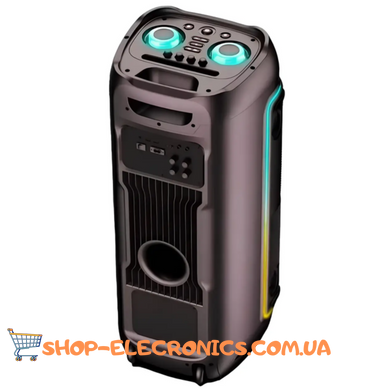 Акустическая переносная колонка ZXX-5540 100Вт с двумя микрофонами
