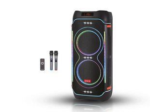 Акустическая переносная колонка ZXX-5515 80Вт 2x8" 74х34х30см FM/USB/TF/BT/REC/LED/2MIC/ДК