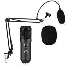 Студійний мікрофон Music D. J. M800U зі стійкою і вітрозахистом