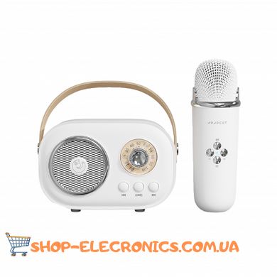 Портативная колонка с микрофоном Platinum C-20 BT/TF/USB/FM влагозащищенная 5 Вт, белая