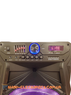 Акумуляторна портативна колонка 600 Вт 15" з мікрофоном та пультом Sky Sound 7272