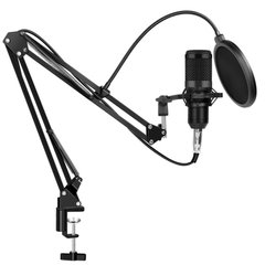 Студійний мікрофон Music D. J. M800 зі стійкою і вітрозахистом Black